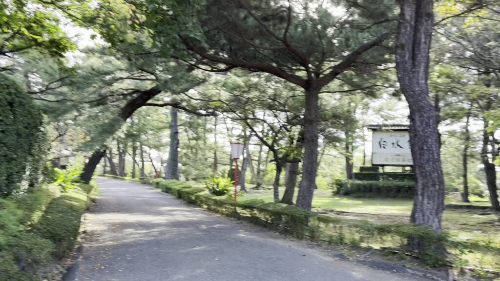 指宿白水館の敷地の松林